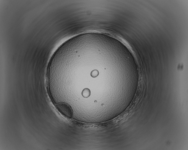 X0000090460811200708031240