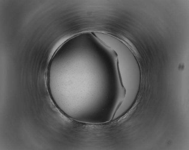 X0000090460812200708031240