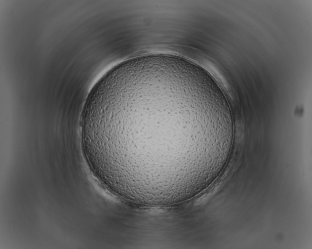 X0000090460814200708031240
