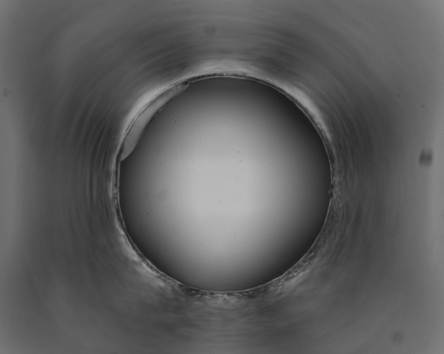 X0000090460815200708031240