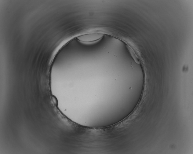 X0000090460816200708031240