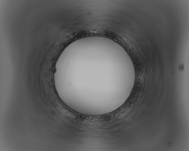 X0000090460817200708031239