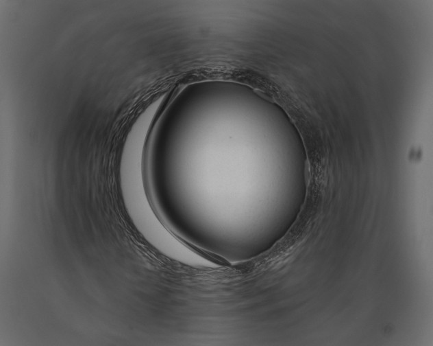 X0000090460818200708031239