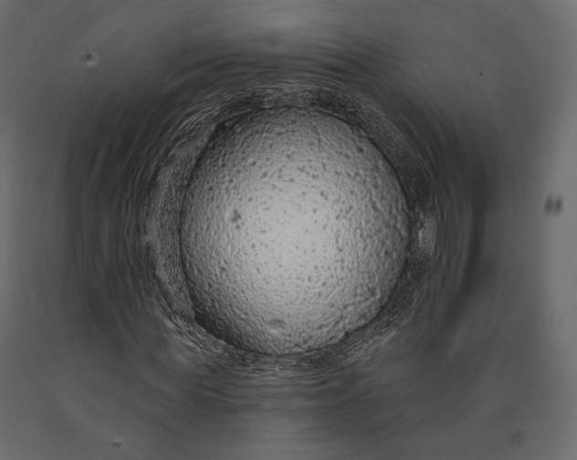 X0000090460819200708031239