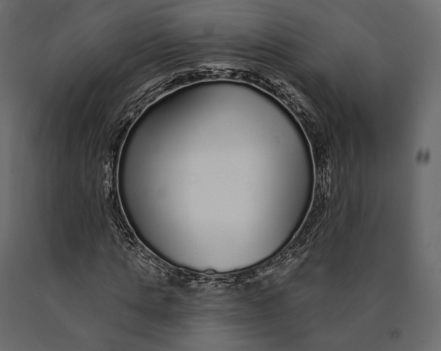X0000090460821200708031239