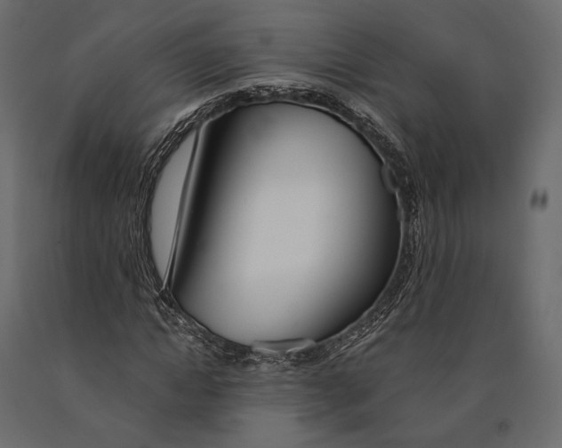 X0000090460822200708031239