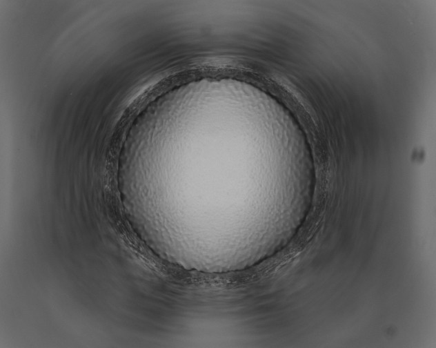 X0000090460823200708031239