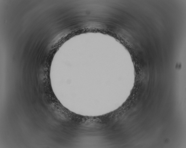 X0000090460824200708031239