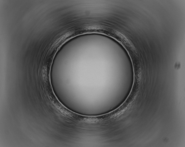 X0000090460825200708031239