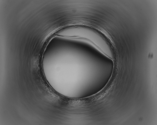 X0000090460826200708031239
