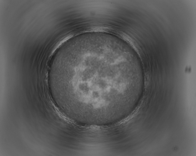 X0000090460827200708031239