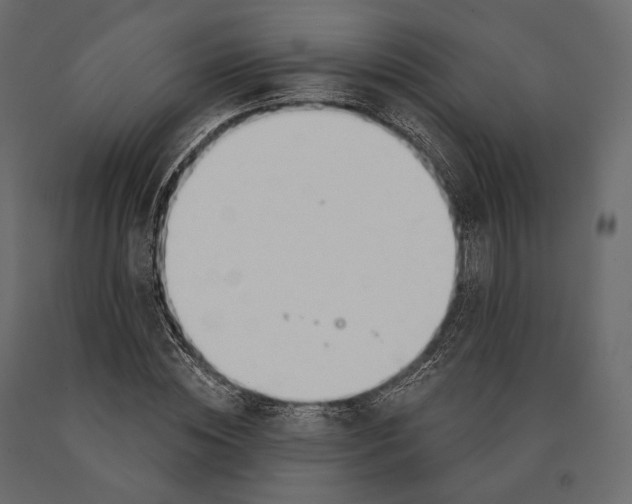 X0000090460828200708031239