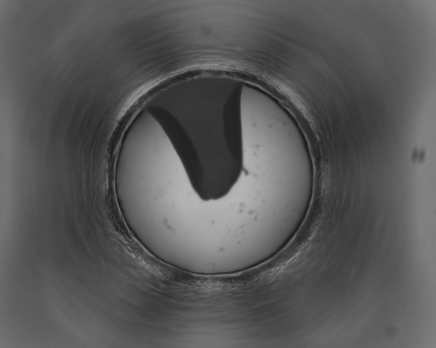 X0000090460829200708031239