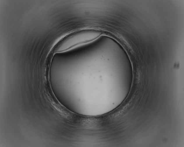 X0000090460830200708031239