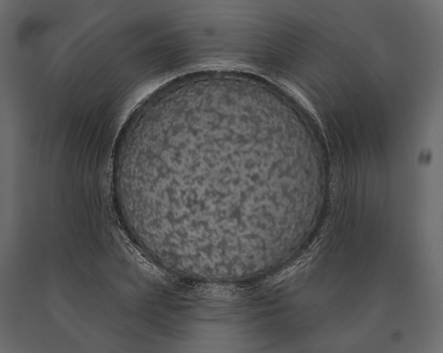 X0000090460831200708031239