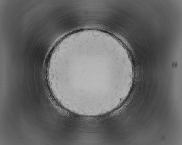 X0000090460832200708031239