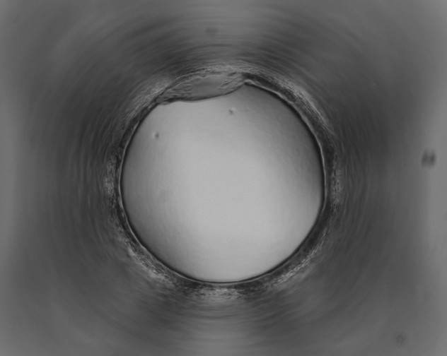 X0000090460833200708031239