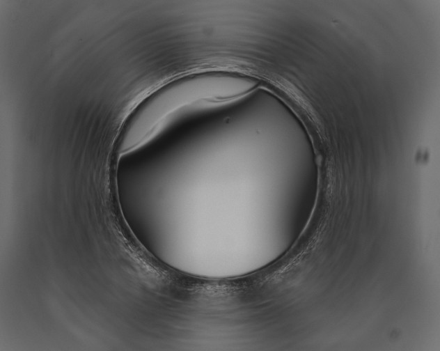 X0000090460834200708031239