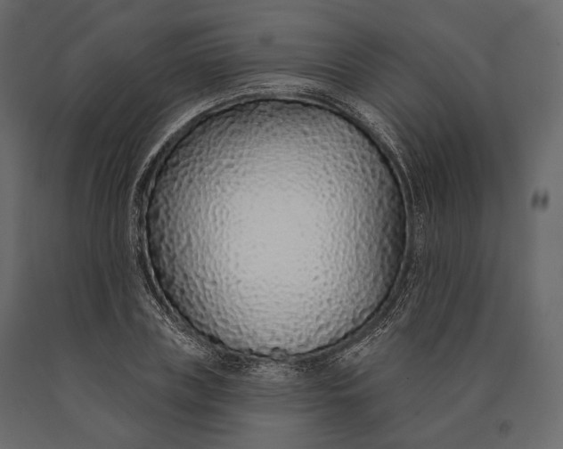 X0000090460835200708031239
