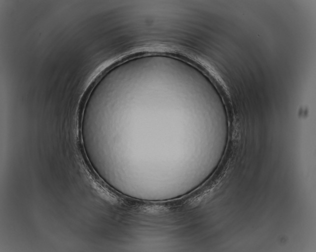 X0000090460837200708031239