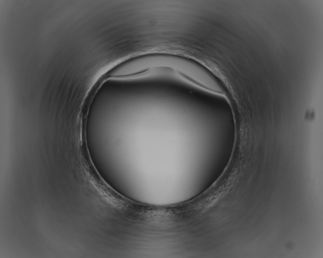 X0000090460838200708031239