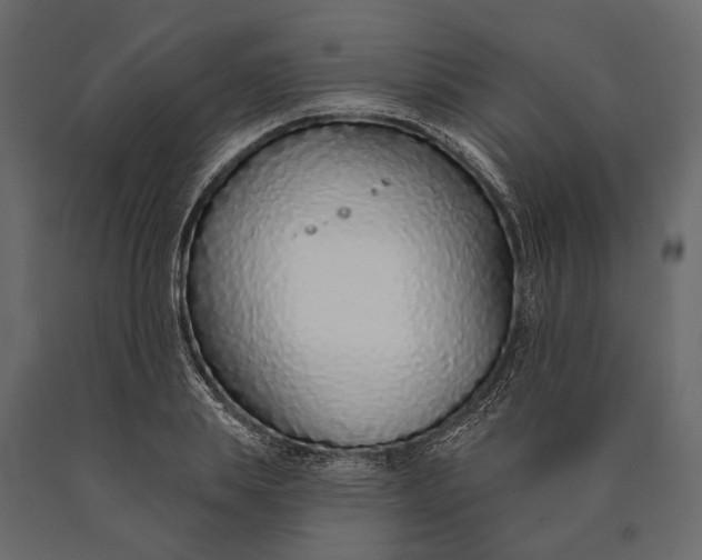 X0000090460839200708031239