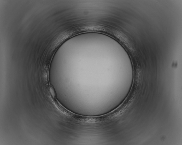X0000090460841200708031239