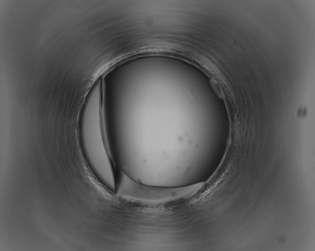 X0000090460842200708031239