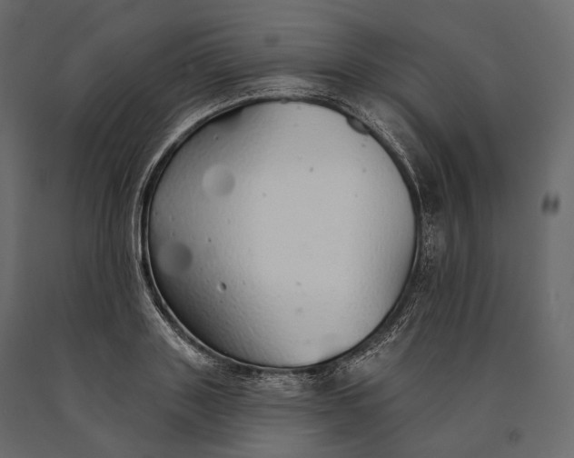 X0000090460843200708031239