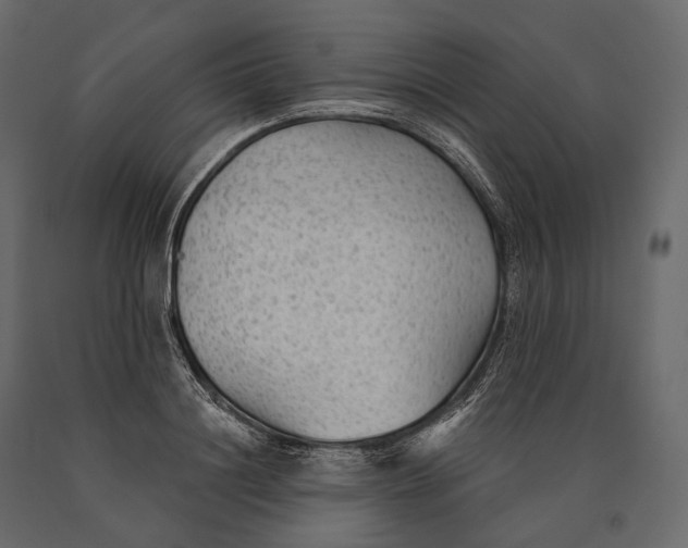 X0000090460844200708031239