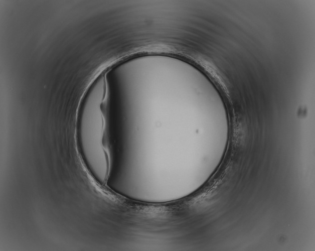 X0000090460845200708031239