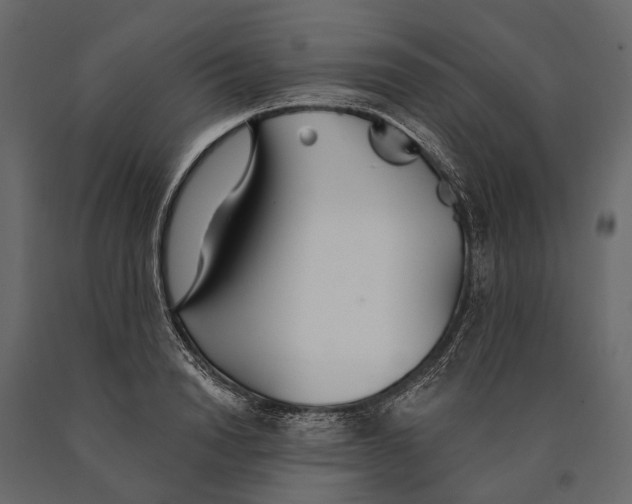 X0000090460846200708031239