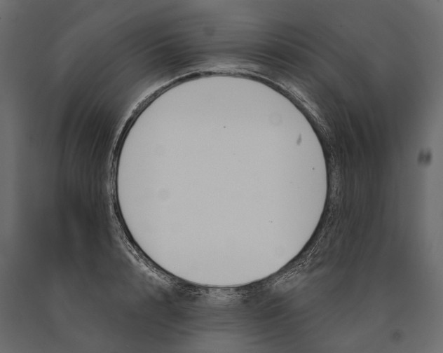 X0000090460848200708031240