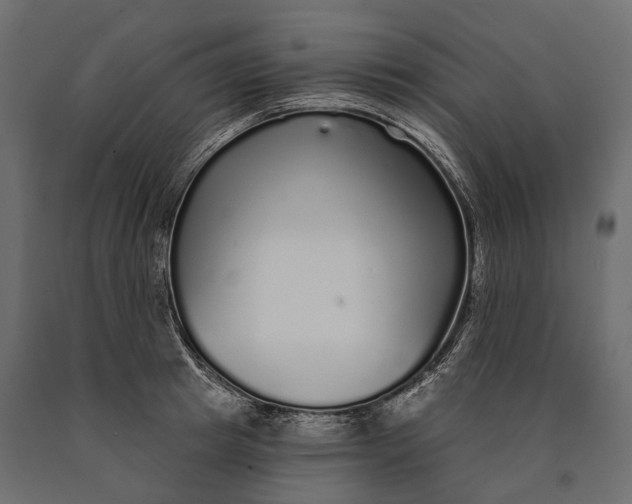 X0000090460849200708031240