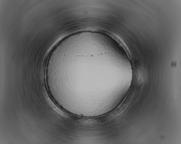 X0000090460851200708031240