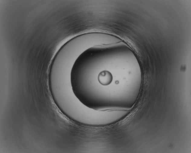 X0000090460854200708031240