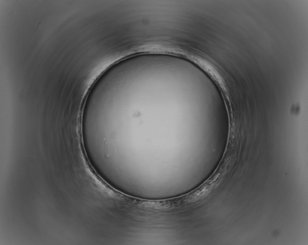 X0000090460855200708031240