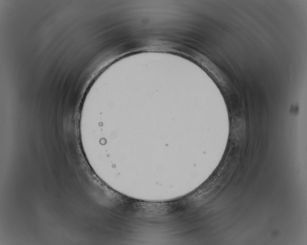 X0000090460856200708031240