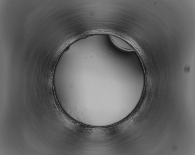 X0000090460857200708031240