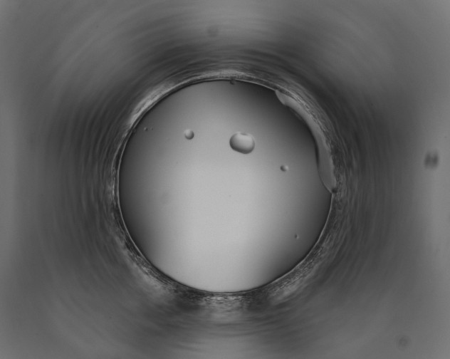 X0000090460858200708031240
