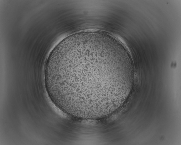 X0000090460859200708031240