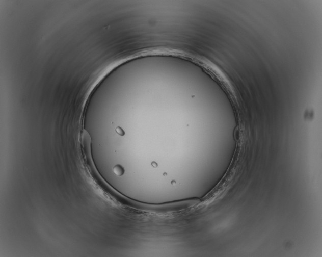 X0000090460860200708031240