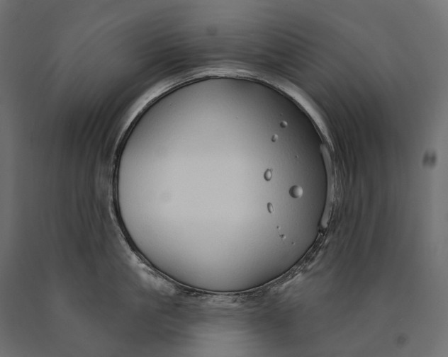 X0000090460861200708031240