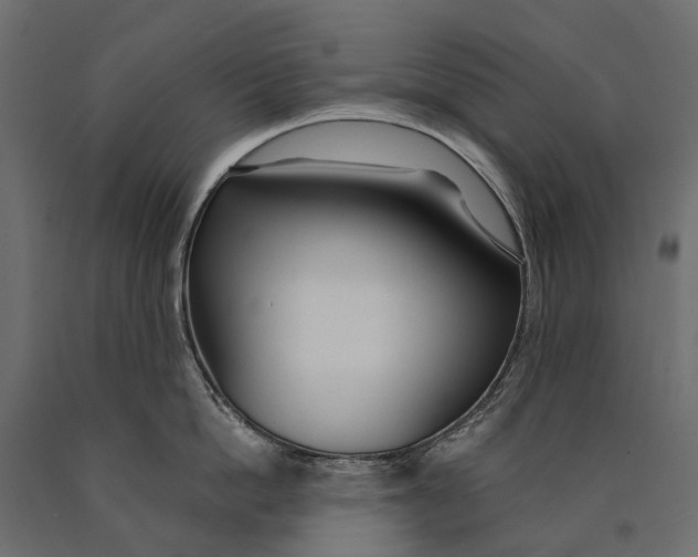 X0000090460862200708031240