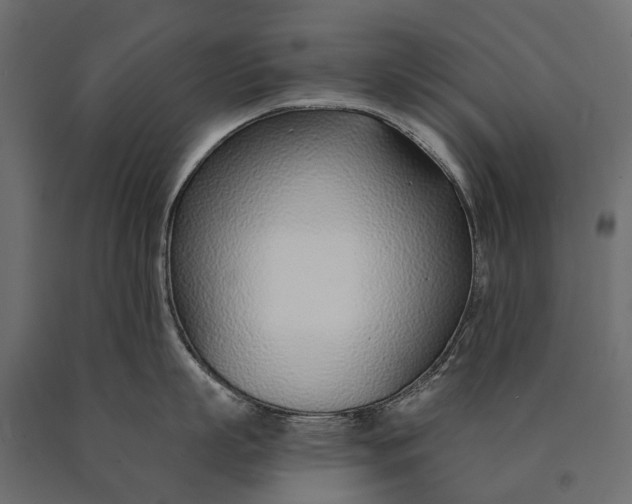 X0000090460863200708031240