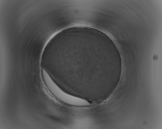 X0000090460864200708031240