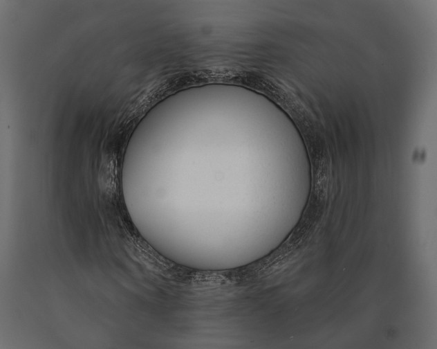 X0000090460866200708031239