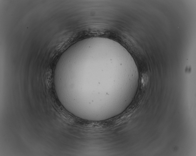 X0000090460867200708031239