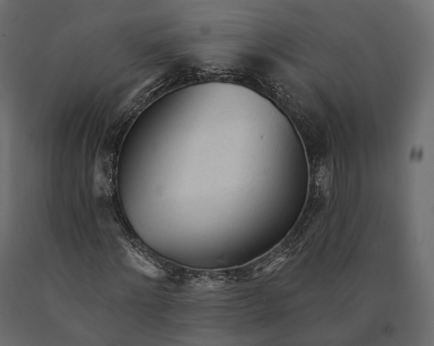 X0000090460868200708031239