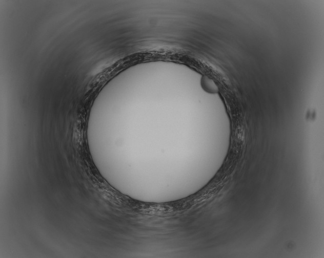 X0000090460869200708031239